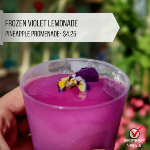 Disney World Epcot's Flower and Garden Festival must do Best planning Your Visit Violet lemonade