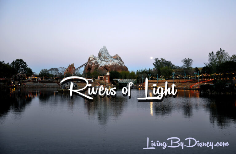 Updated Photos! Rivers of Light at Animal Kingdom