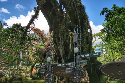 Pandora World of Avatar at Disney's Animal Kingdom
