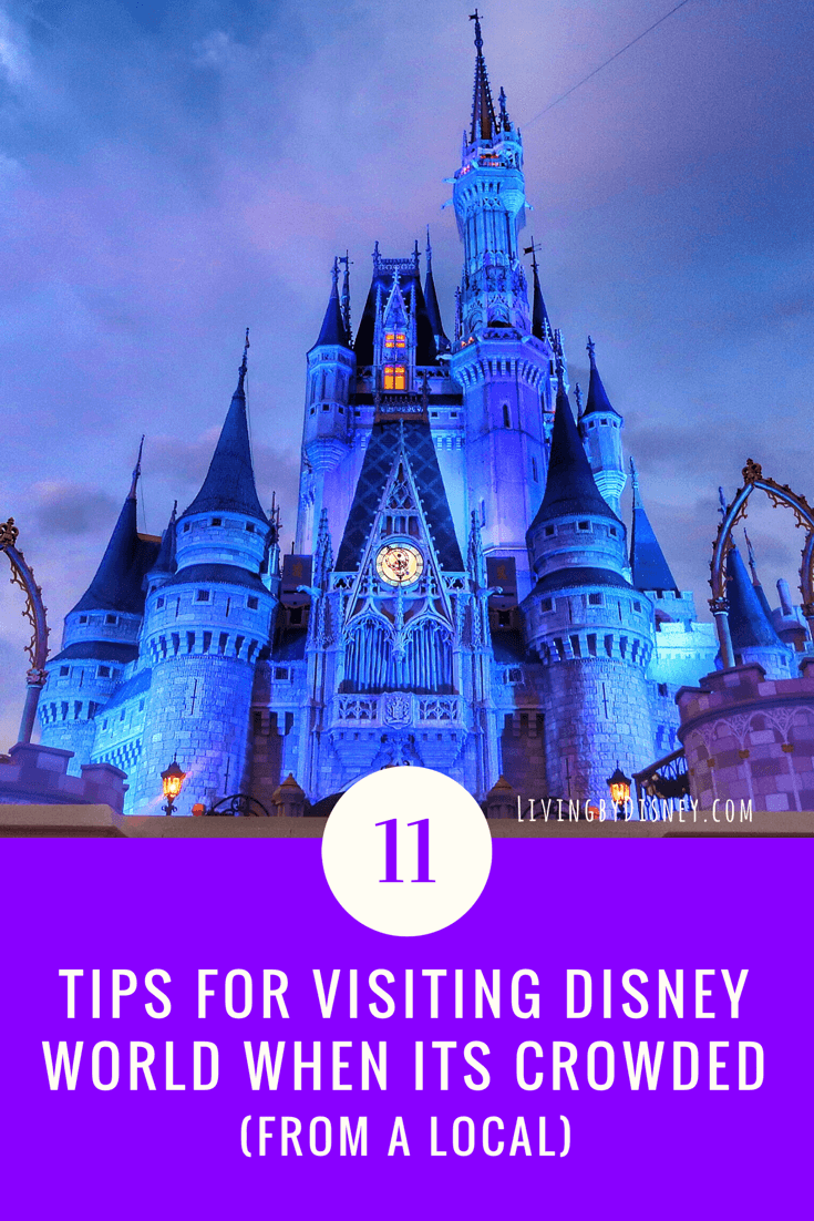 Visiting Disney World When It S Crowded Living By Disney