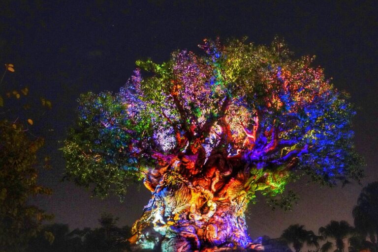 Review: Disney After Hours Event at Animal Kingdom