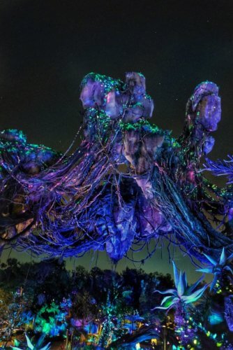 AFTER HOURS AT DISNEY'S ANIMAL KINGDOM REVIEW
